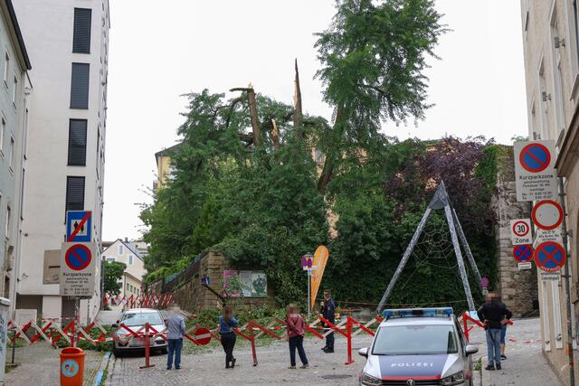 Kurz nach 20 Uhr brach ein großer Teil des Baumes ab und stürzte auf den Tummelplatz. | Foto: laumat.at/Matthias Lauber
