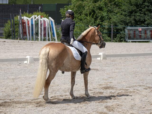 Die Grußstellung zu Beginn und am Ende der Dressurprüfung. | Foto: Königshofer