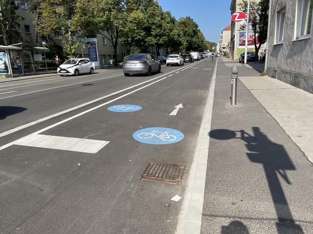 Der Radweg in der Krottenbachstraße sorgt für erhitzte Gemüter und gespaltene Gemüter.  | Foto: Rieger/MeinBezirk