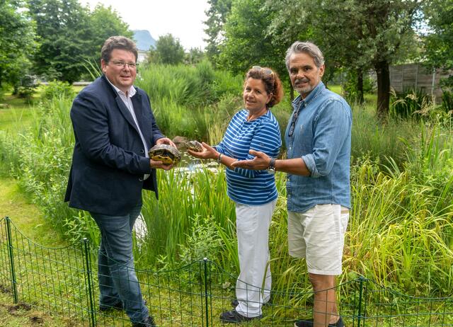Der Villacher Tierschutzverein hat das optimale Zuhause für die gepanzerten Einwanderer aus den USA. | Foto: Augstein