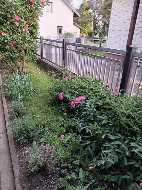 Foto: Gerhard Wurzer