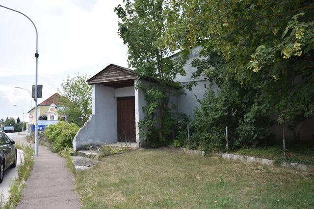 Die Disco in der Anton Ehrenfriedstraße in Hollabrunn passt sich dem Grünwuchs an. | Foto: Alexandra Goll