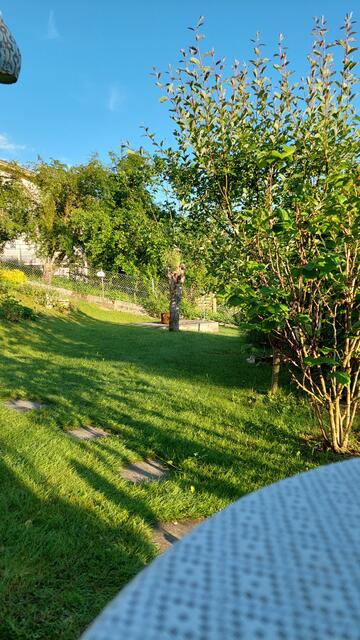 Foto: Regina Wührer