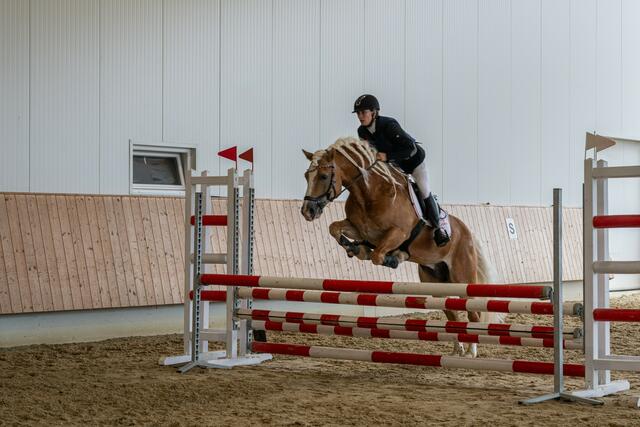 Angela Kirchmair im Derbyparcours der Lizenzreiterinnen | Foto: Johann Jennewein