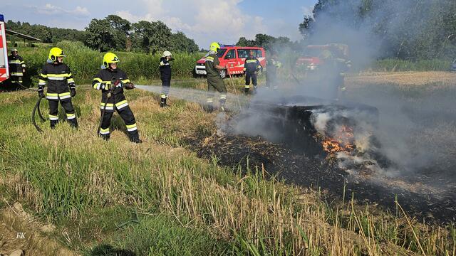 In Weinburg mussten die Feuerwehren einen Wiesenbrand löschen. | Foto: BFVRA/Konrad