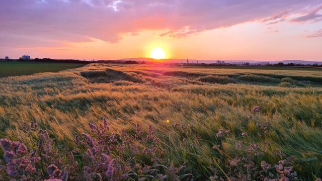 Foto: Christina Eckl