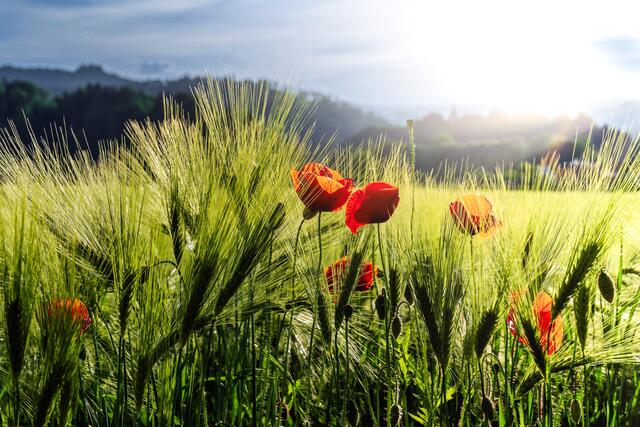 Unterwegs im LOVNTOL :) 