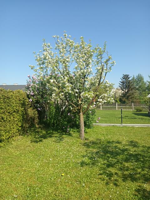 Foto: Gerhard Wurzer