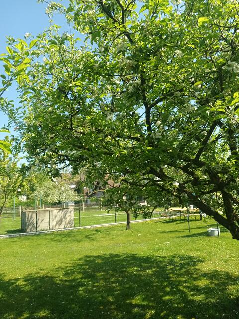 Foto: Gerhard Wurzer