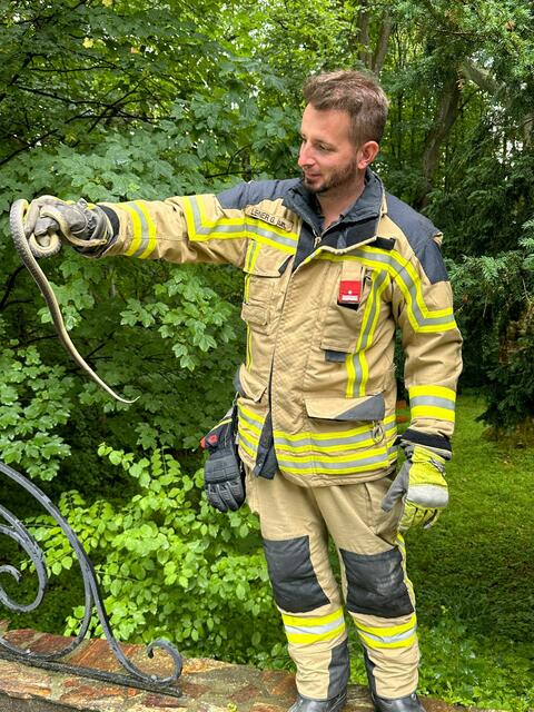 Georg Lehner konnte die Schlange aus dem Pool fischen. | Foto: FF Pressbaum