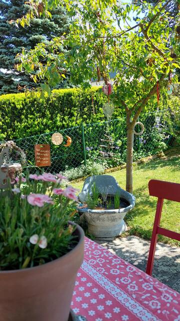 Foto: Regina Wührer