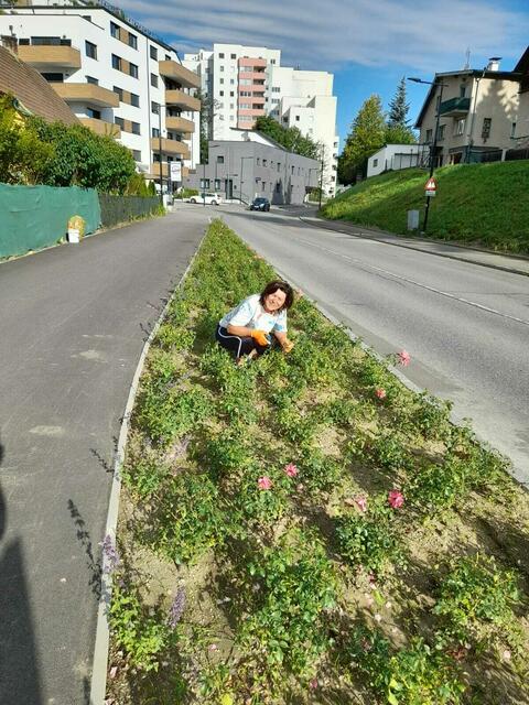 Stadträtin Maria Auer pflegt das Rosenbeet. | Foto: Bürgerliste WIR
