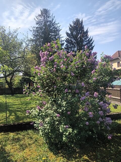 Foto: Gerhard Wurzer