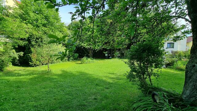 
 | Foto: Elmer Schatzl