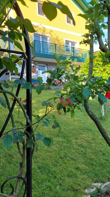 Foto: Regina Wührer