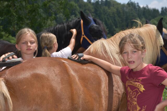 Reiter-Camp am Erlöebnishof Steinkellnergut, Pabneukirchen/St. Georgen am Walde. | Foto: Zinterhof