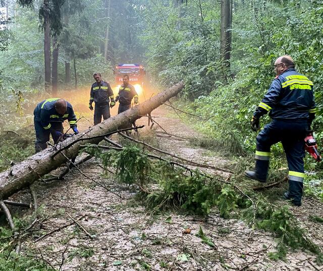 Foto: FF Senftenberg