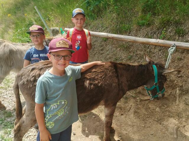 Foto: Springer Julia