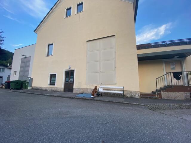 Hund musste in der Hitze warten. | Foto: privat