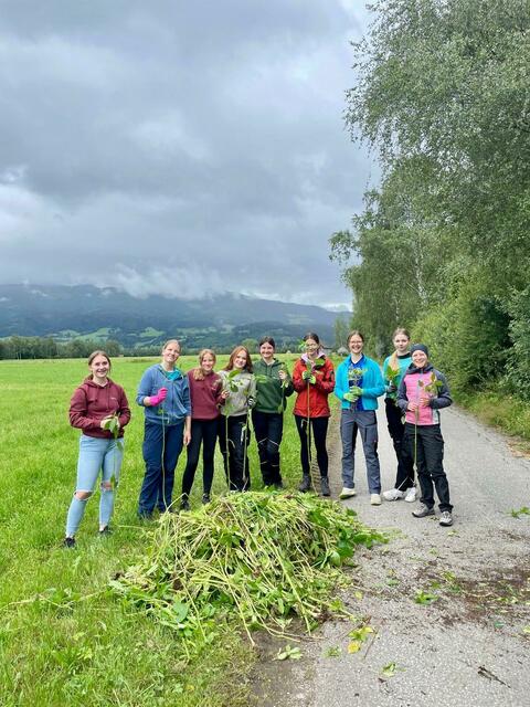 Die Schülerinnen und Schüler trennten das krautige Material von den Wurzelstöcken und verpackten sie in insgesamt 80 Müllsäcke mit einem Gesamtgewicht von ca. einer Tonne.  | Foto: HBLFA Raumberg-Gumpenstein