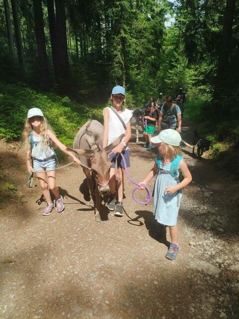 Foto: Springer Julia