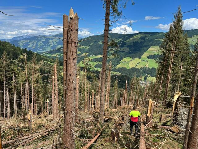 Sturm und Hagel haben unter anderem in der Kelchsau große Waldschäden angerichtet. | Foto: Land Tirol