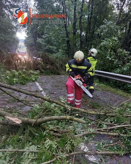 Foto: FF Senftenbach