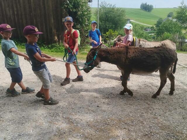 Foto: Springer Julia