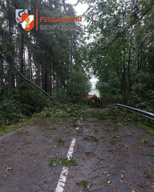 Foto: FF Senftenbach