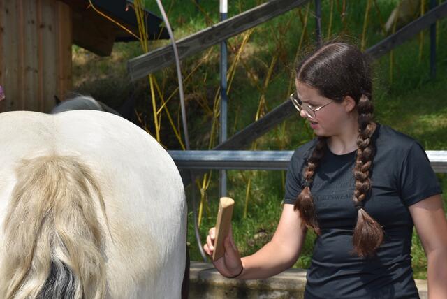Reiter-Camp am Erlöebnishof Steinkellnergut, Pabneukirchen/St. Georgen am Walde. | Foto: Zinterhof