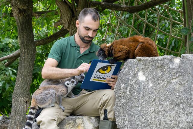Das Zählen mit dem Klemmbrett ist rein symbolisch, denn in den einzelnen Revieren werden das ganze Jahr über detaillierte Listen zum Tierbestand geführt. | Foto: Tiergarten Schönbrunn