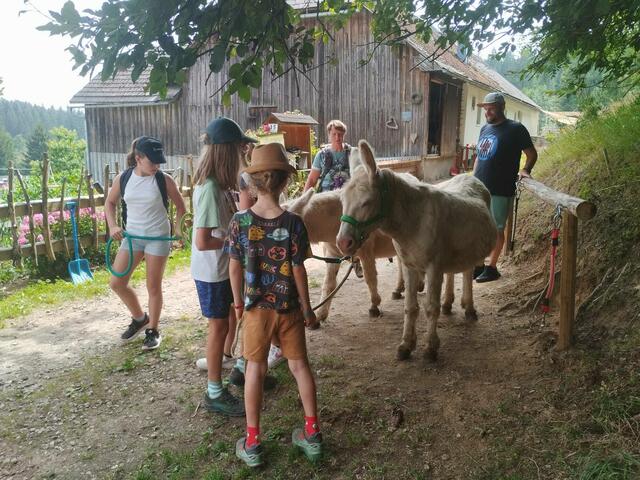 Foto: Springer Julia