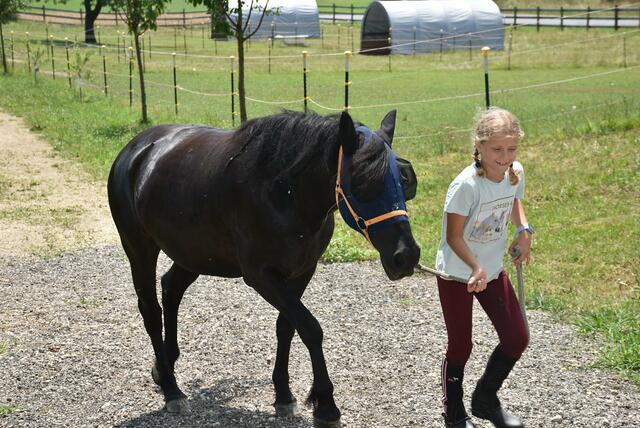 Reiter-Camp am Erlöebnishof Steinkellnergut, Pabneukirchen/St. Georgen am Walde. | Foto: Zinterhof