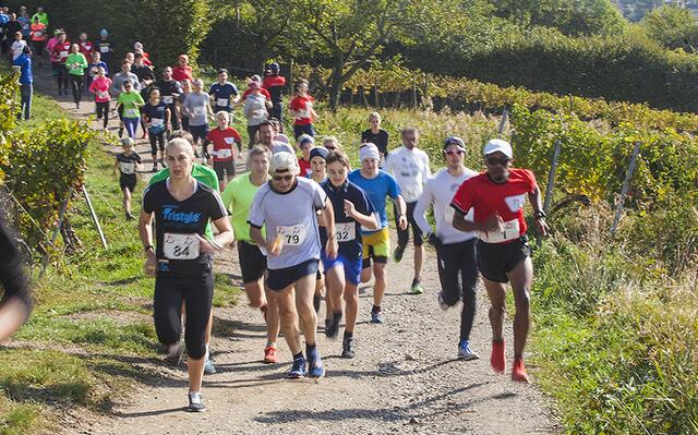 Bereits zum 15. Mal findet der Neustifter Weinberglauf heuer statt. Am 6.10.2024 können sich wieder alle Läuferinnen und Läufer unter Beweis stellen. | Foto: Neustifter Weinberglauf
