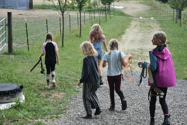 Reiter-Camp am Erlöebnishof Steinkellnergut, Pabneukirchen/St. Georgen am Walde. | Foto: Zinterhof