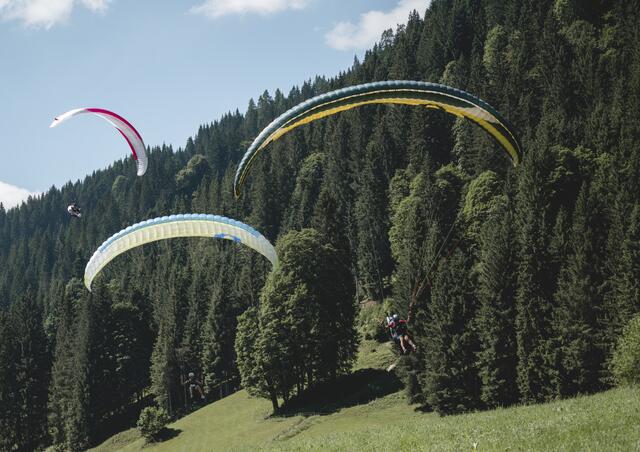 Beim Paragleiten stürzten sich die Teilnehmer vom Mooskopf aus zu den Zielpunkten. | Foto: Christoph Johann