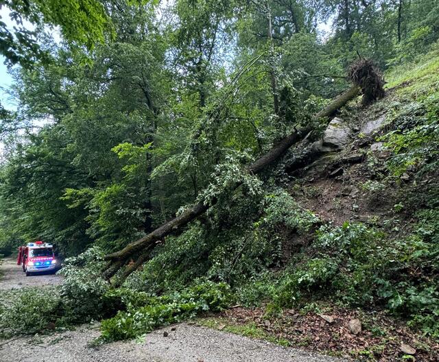 Foto: FF Dürnstein