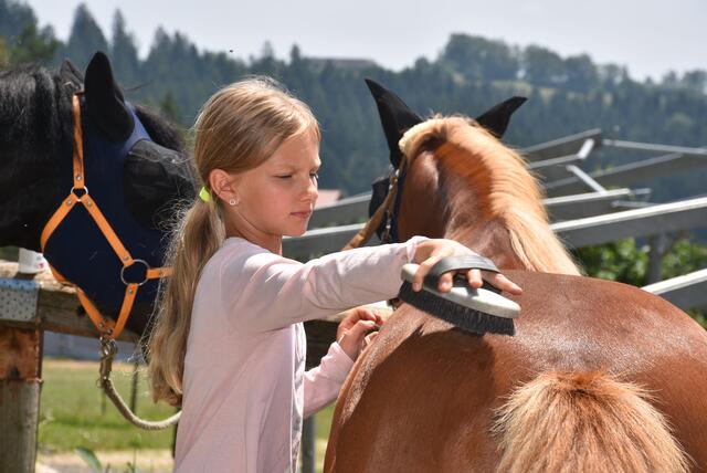 Reiter-Camp am Erlöebnishof Steinkellnergut, Pabneukirchen/St. Georgen am Walde. | Foto: Zinterhof