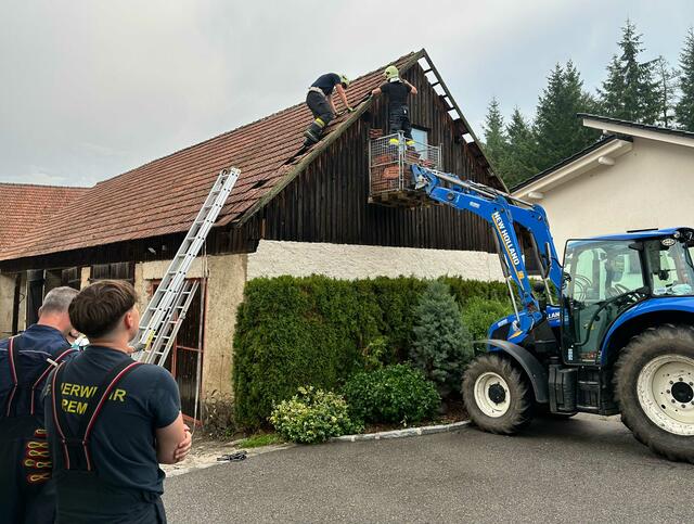 Foto: BFK Krems Gernot Rohrhofer