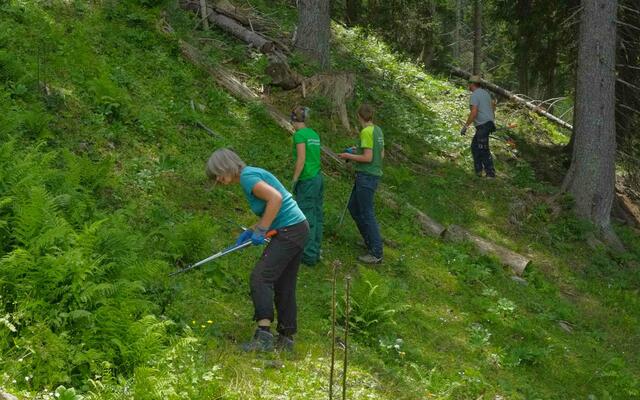 Eine Woche lang waren auch dieses Jahr neun Freiwillige am "Schwenden". | Foto: Kraxner