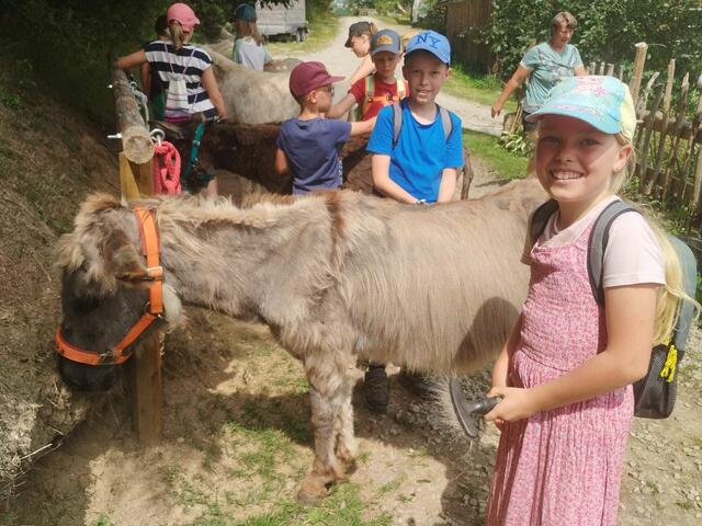 Foto: Springer Julia