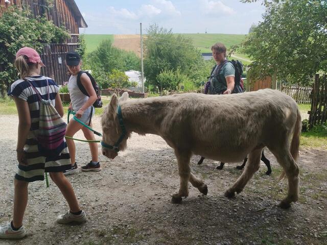 Foto: Springer Julia