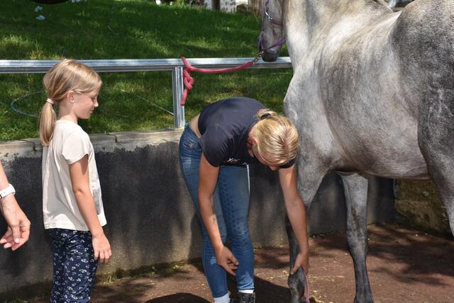 Reiter-Camp am Erlöebnishof Steinkellnergut, Pabneukirchen/St. Georgen am Walde. | Foto: Zinterhof