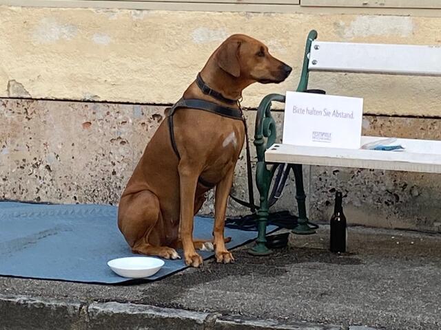 Diese Bilder schockieren Tierfreunde. | Foto: privat