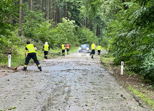 Nach dem Unwetter | Foto: BFK Krems Gernot Rohrhofer