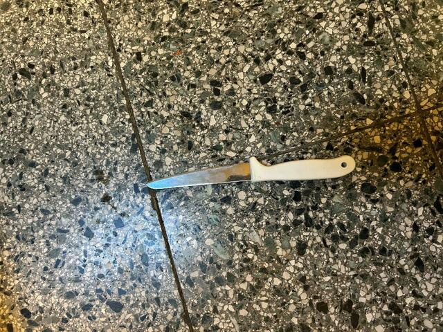 Mit diesem Küchenmesser soll ein Mann seine 62-jährige Mutter bedroht haben. | Foto: LPD Wien