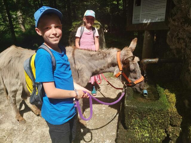 Foto: Springer Julia