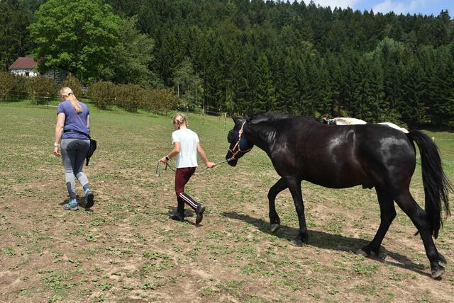 Reiter-Camp am Erlöebnishof Steinkellnergut, Pabneukirchen/St. Georgen am Walde. | Foto: Zinterhof