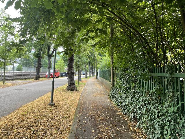 In der Bahnhofsstraße waren einst mehrere Geschäfte. Wir zeigen euch Lost-Places der Region. | Foto: Nina Taurok
