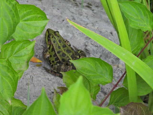 Foto: Zuzana Kobesova 2024